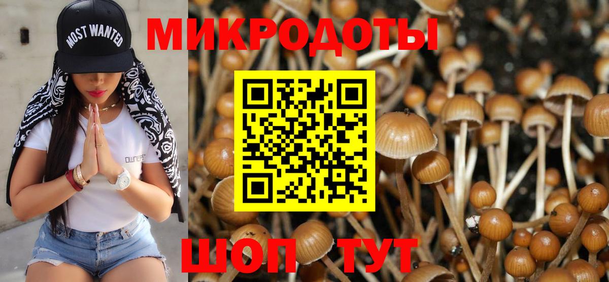 Галлюциногенные грибы GOLDEN TEACHER  Вход с VPN  Галлюциногенные грибы GOLDEN TEACHER  магазин    Ейск 